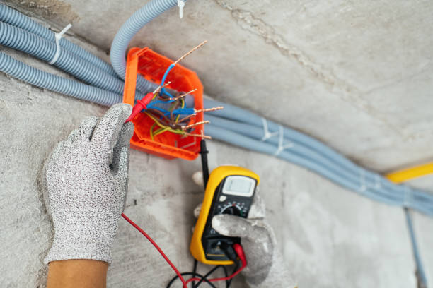 Best Ceiling Fan Installation Electrician  in Roselle, NJ